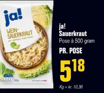Poetzsch Padborg ja! Sauerkraut Pose à 500 gram PR. POSE tilbud