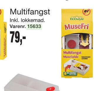 Multifangst