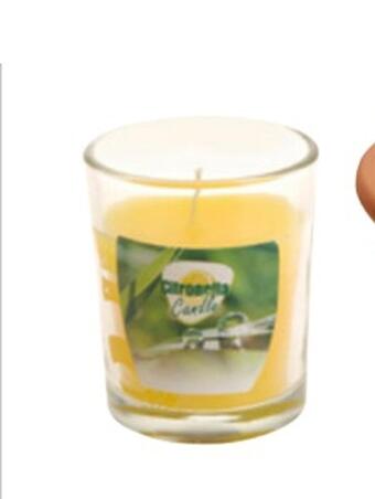 Harald Nyborg Citronella myggelys tilbud