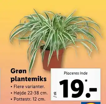 Let-Køb Grøn plantemiks tilbud