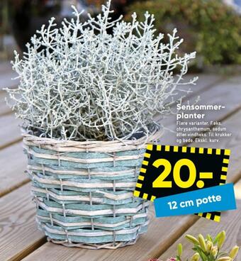 Bilka Ukendt planter tilbud