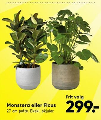 Bilka Ukendt planter tilbud