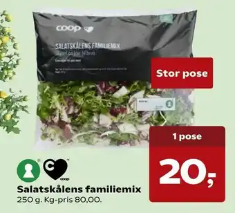 Salatskålens familiemix