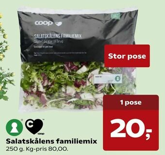 Salatskålens familiemix