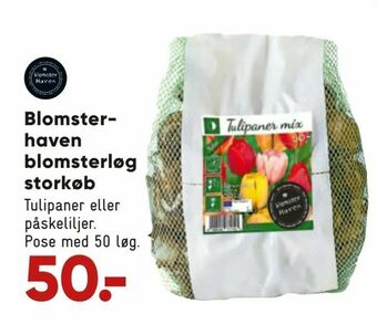 Blomsterhaven blomsterløg storkøb