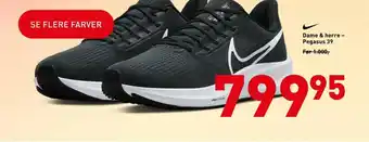 Dame & herre - Pegasus 39