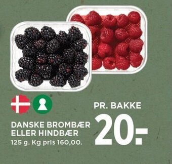 DANSKE BROMBÆR ELLER HINDBÆR