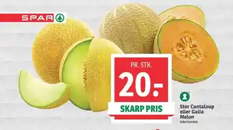 Stor Cantaloup eller Galia Melon Udenlandsk.