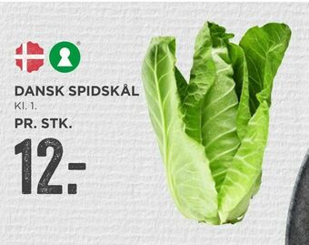 MENY Dansk spidskål tilbud