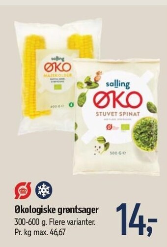 Føtex Økologiske grøntsager tilbud