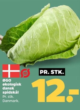 Netto ØGO økologisk dansk spidskål tilbud