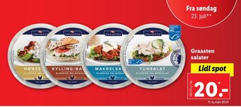 Lidl Graasten salater tilbud