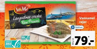 Lidl Vannamei rejer tilbud