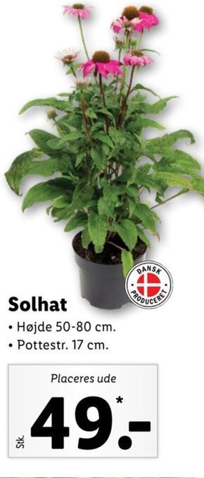 Solhat