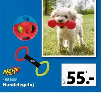 NERF DOGⓇ Hundelegetøj
