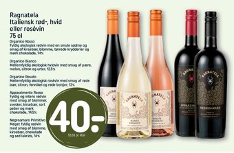Ragnatela Italiensk rød-, hvid eller rosévin 75 cl