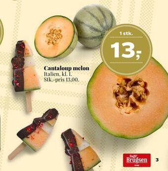 Cantaloup melon