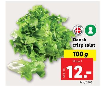 Lidl Dansk crisp salat tilbud