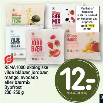 REMA 1000 Rema 1000 økologiske vilde blåbær, jordbær, mango, avocado eller bærmix tilbud