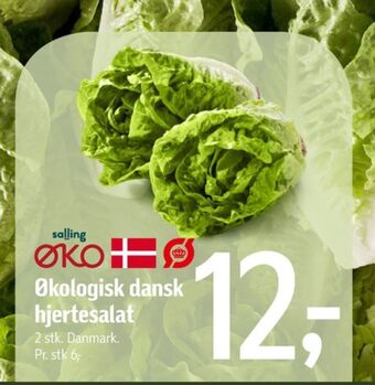 Føtex Salling øko hjertesalat tilbud