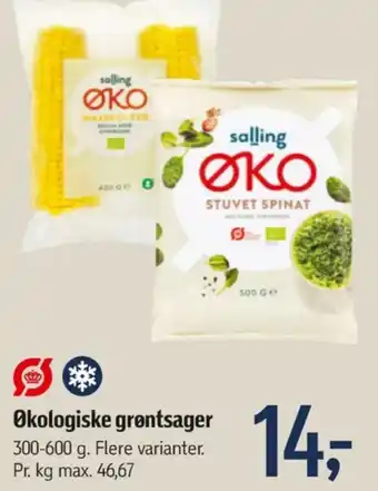 Føtex Salling øko majskolber tilbud