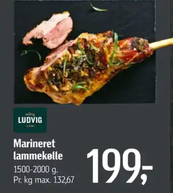 Føtex Ludvig lammekølle tilbud
