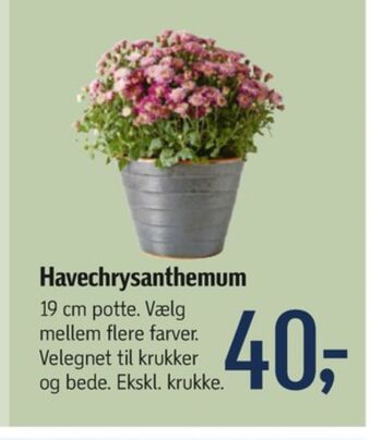 Føtex Ukendt planter tilbud