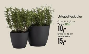 Urtepotteskjuler