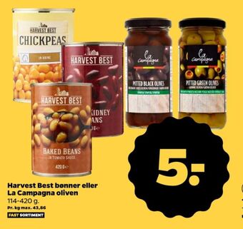 Netto Harvest best bønner tilbud