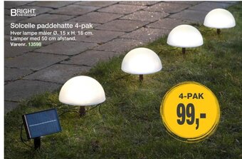 Harald Nyborg Solcelle paddehatte 4-pak tilbud