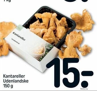 Kantareller Udenlandske