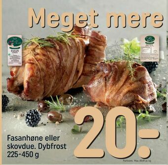 Fasanhøne eller skovdue
