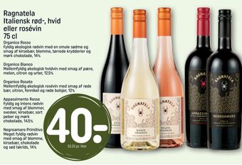 REMA 1000 Ukendt italiensk rødvin tilbud