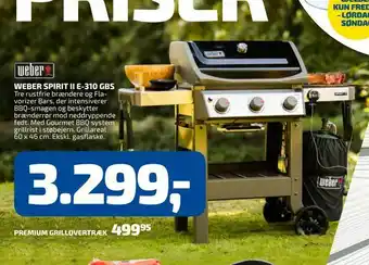 Davidsen Weber spirit ii e-310 gbs tilbud