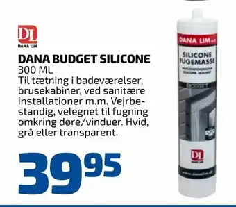 Davidsen Dana budget silicone tilbud