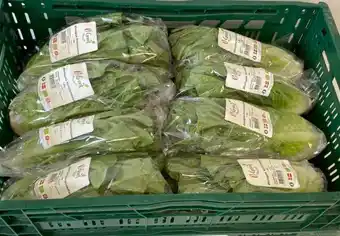 REMA 1000 Romaine salat øko., 1 ct tilbud