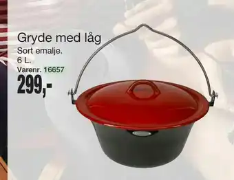 Harald Nyborg Gryde med låg tilbud