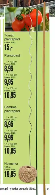 Bambus plantepind
