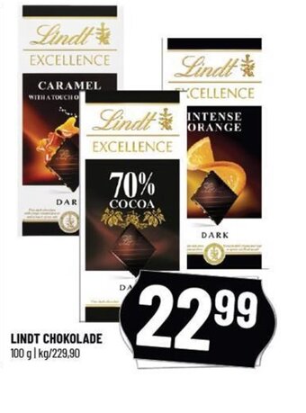 Løvbjerg LINDT CHOKOLADE 100 g tilbud