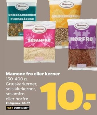 Netto Mamone frø eller kerner tilbud