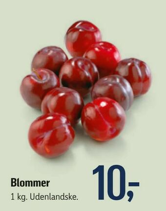 Føtex Blommer tilbud