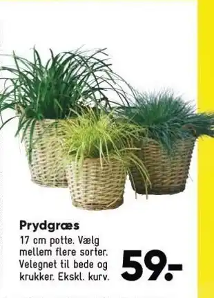 Bilka Prydgræs tilbud