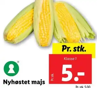 Lidl Nyhøstet majs tilbud