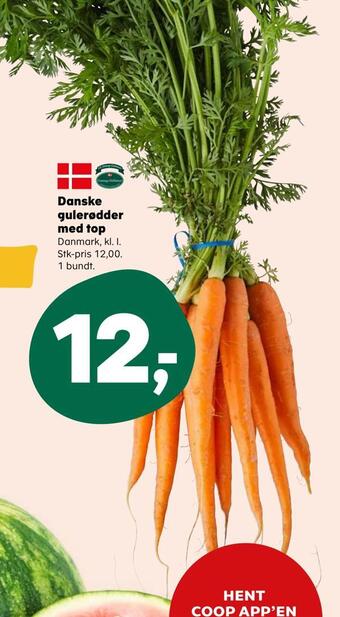 Danske gulerødder med top