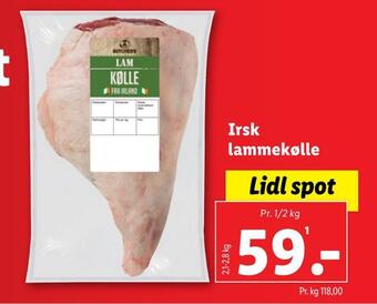 Irsk lammekølle