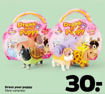Dress your puppy
