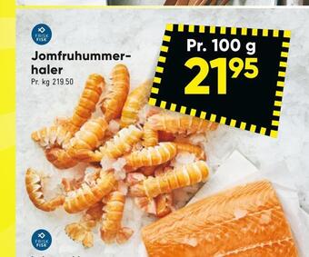 Bilka Jomfruhummerhaler tilbud