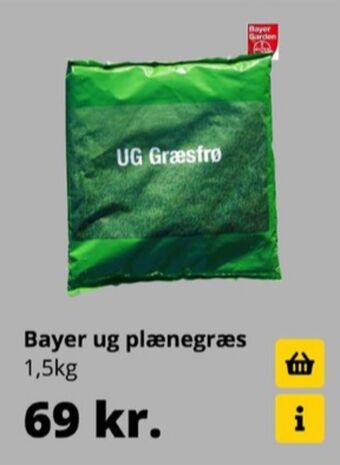 Ug græsfrø