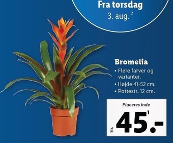 Lidl Bromelia tilbud