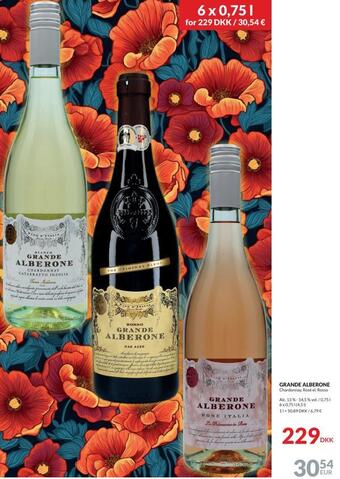 Nielsen's Discount Grande alberone tilbud
